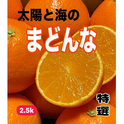 太陽と海のまどんな2.5kg【贈答用】【D73-2】