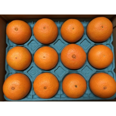 太陽と海のまどんな2.5kg【贈答用】【D73-2】