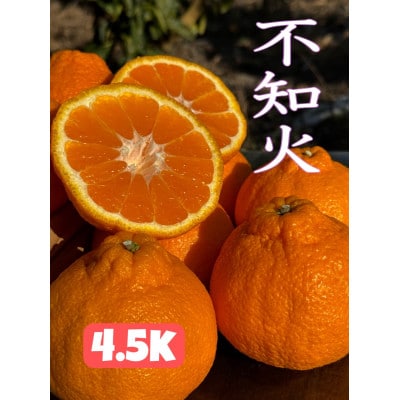 太陽と海の不知火4.5kg【家庭用】【C73-4】