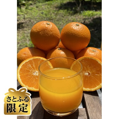 【さとふる限定】太陽と海のみかんジュース2種飲み比べ　12本セット【73-9】