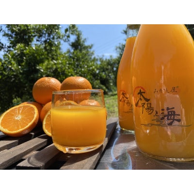 【さとふる限定】太陽と海のみかんジュース2種飲み比べ　12本セット【73-9】