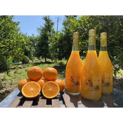【さとふる限定】太陽と海のみかんジュース2種飲み比べ　3本セット【73-10】