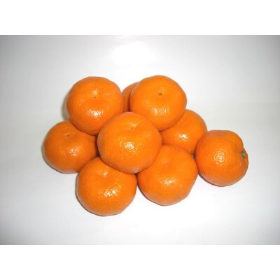 温州みかん【家庭用】約5kg【C76-11】