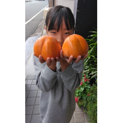 富士柿【家庭用】約4kg【D76-9】