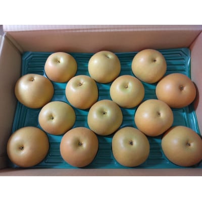 秋月梨【家庭用】約4kg【D76-10】