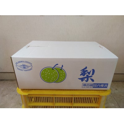 秋月梨【家庭用】約4kg【D76-10】