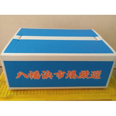 温州みかん【家庭用】約3kg【B76-15】