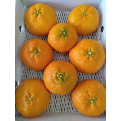 甘平【家庭用】約3kg【D76-19】