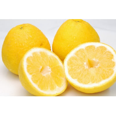 河内晩柑 約3kg【家庭用】【C76-20】