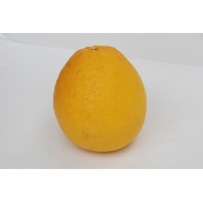 河内晩柑 約3kg【家庭用】【C76-20】