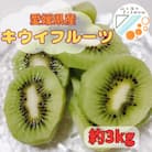 愛媛県八幡浜産キウイフルーツ(3kg)【C81-1】