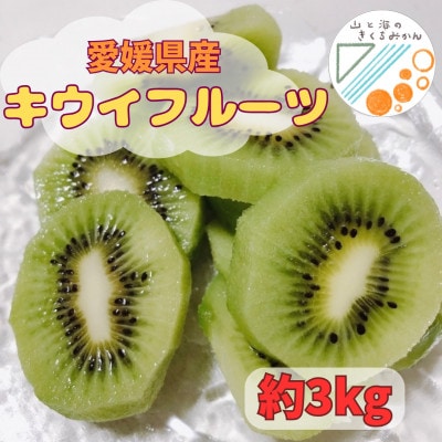 愛媛県八幡浜産キウイフルーツ(3kg)【C81-1】
