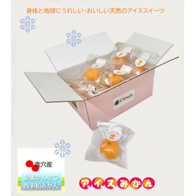 【真穴産】冷凍みかん　えひめのアイスみかん　20袋詰め【D82-2】