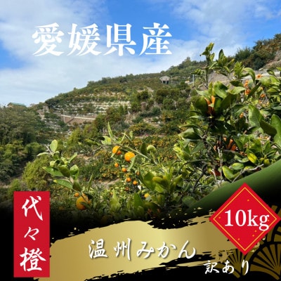 代々橙みかん10kg(家庭用・サイズ混合)【D83-5】
