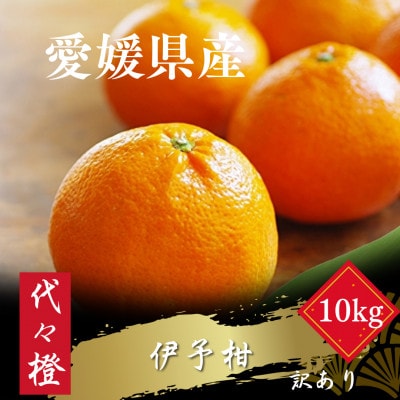 【ジューシー果肉がいい香り♪】【訳あり】伊予柑 10kg【E83-13】