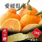 【プリプリ果肉】【訳あり】デコ(不知火) 5kg【C83-14】