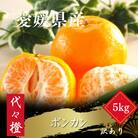 【濃厚な甘さ】【訳あり】ポンカン 5kg【C83-15】