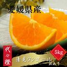【トロッととろける果実】【訳あり】清見タンゴール 5kg【C83-16】