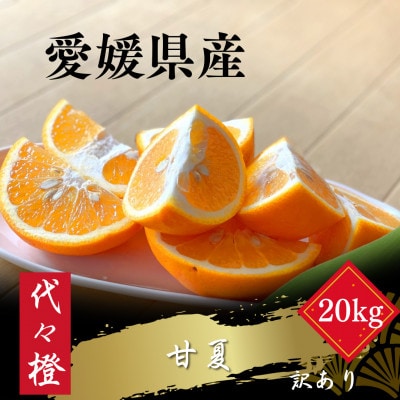 【ほろ苦くて甘酸っぱい】【訳あり】甘夏 20kg【H83-29】