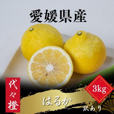 【爽やかな甘さ】【訳あり】はるか 3kg【A83-35】