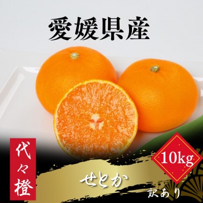 【最高の旨みと香りが詰まった】代々橙せとか【訳あり】10kg【H83-38】