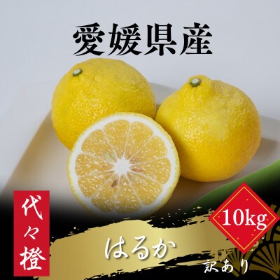 【爽やかな甘さ】【訳あり】はるか 10kg【F83-46】