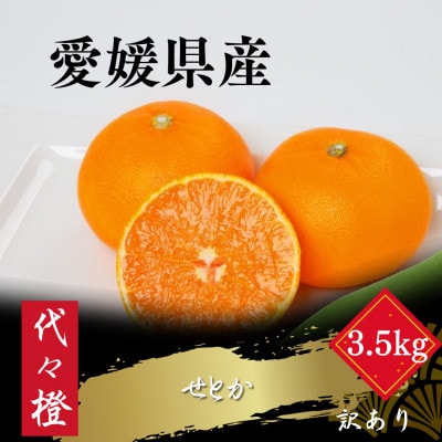 代々橙せとか【訳あり】3.5kg【C83-54】
