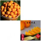 【発送月固定定期便】【訳あり】みかん まどんな【E83-49】全2回