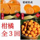 【発送月固定定期便】【訳あり】甘平 せとか みかん【H83-51】全3回