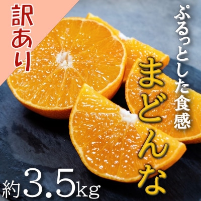 【2026年11月以降発送】ゼリーのような食感!「媛一まどんな」訳あり約3.5kg入【28-52】