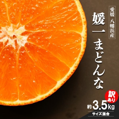 【2026年11月以降発送】ゼリーのような食感!「媛一まどんな」訳あり約3.5kg入【28-52】