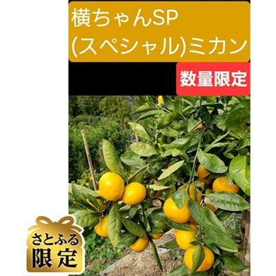 《さとふる限定》【ご家庭用】横ちゃんSP(スペシャル)みかん 約5kg【C84-1】