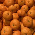 【ご家庭用】横ちゃんちの早生みかん 約10kg【C84-4】