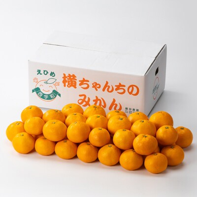 厳選品!! 横ちゃんちの早生みかん 約5kg【C84-5】