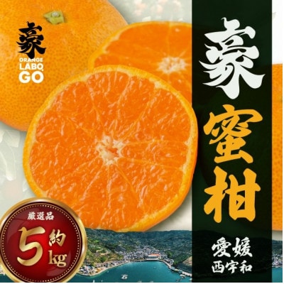 豪 蜜柑　5kg(S～Lサイズ)【C88-1】