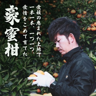豪 蜜柑　5kg(S～Lサイズ)【C88-1】