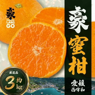 豪 蜜柑　3kg(S～Lサイズ)【C88-2】