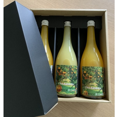 飲み比べジュースセット(清見ジュース2本&河内晩柑ジュース1本)720ml×計3本【91-5】