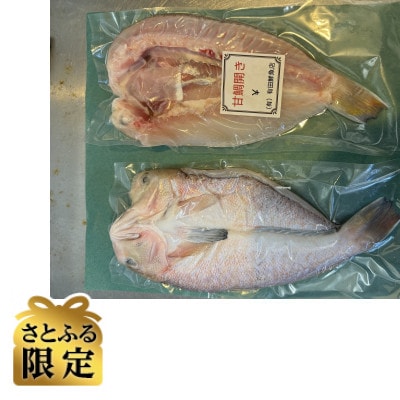 【さとふる限定】有田鮮魚店、八幡浜発【宇和海産甘鯛開き】【D93-2】