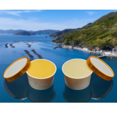 里海シャーベット【C92-1】