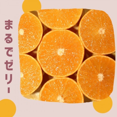 愛媛県八幡浜産 まどんな3kg【訳あり】【D94-1】