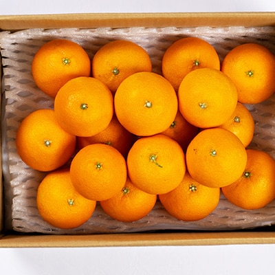 愛媛県八幡浜産　まどんな3kg【訳あり】【D94-1】