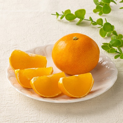 愛媛県八幡浜産　まどんな3kg【訳あり】【D94-1】