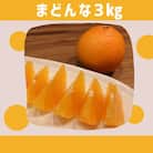 愛媛県八幡浜産　まどんな3kg【E94-2】