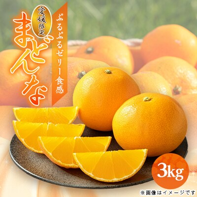 愛媛県八幡浜産　まどんな3kg【E94-2】