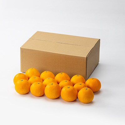 愛媛県八幡浜産　まどんな3kg【E94-2】