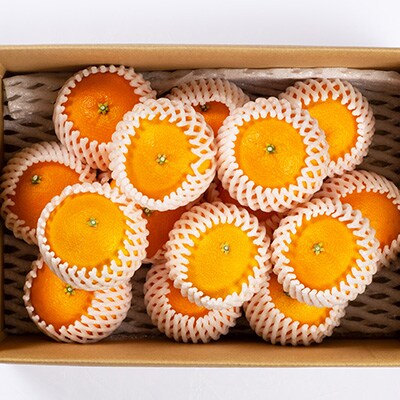 愛媛県八幡浜産　まどんな3kg【E94-2】