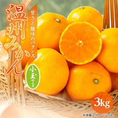 愛媛県八幡浜産　温州みかん3kg【小玉サイズ】【B94-3】