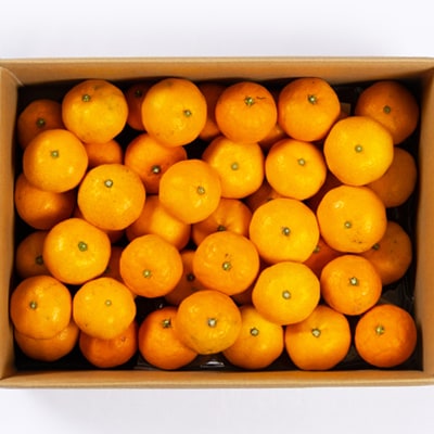 愛媛県八幡浜産　温州みかん3kg【小玉サイズ】【B94-3】