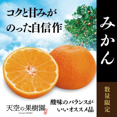 【天空の果樹園】そらみかん (5kg)【D45-68】